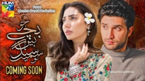 Jo Bachay Hain Sang Samait Lo