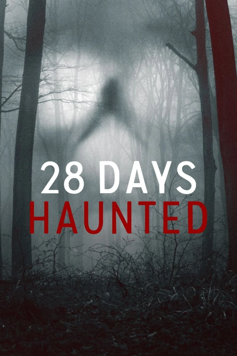Poster  de 28 días paranormales en inglés