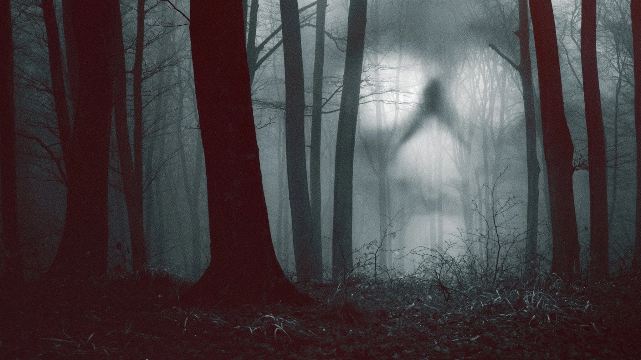 Foto de 28 días paranormales