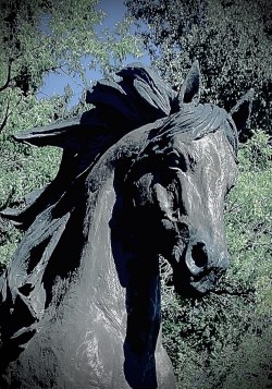 A Horse Called Wildfire