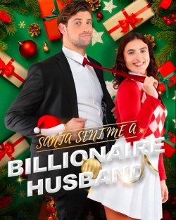 Santa Send me a Billionaire Husband