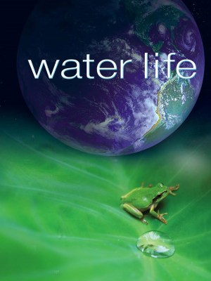 Mundos de agua
