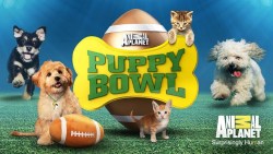 Puppy Bowl II