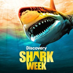 Shark Week, Mothersharker: Hammer Time