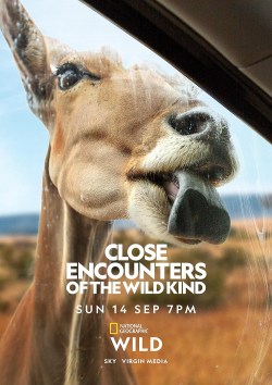 Close Encounters of the Wild Kind