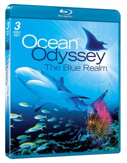 Ocean Odyssey: The Blue Realm