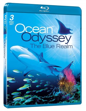 Ocean Odyssey: The Blue Realm