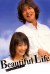 Beautiful Life (Serie TV)