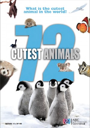 72 Cutest Animals 72 Cutest Animals