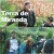 Terra de Miranda (Serie TV)