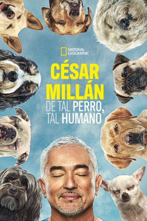 César Millán: De tal perro, tal humano