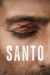 Santo (Serie TV)