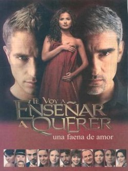 Te Voy a Enseñar a Querer