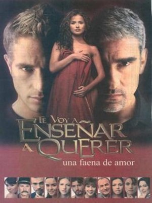 Te Voy a Enseñar a Querer