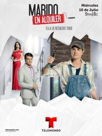 Serie Marido En Alquiler