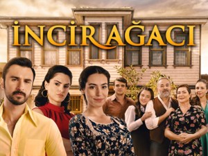 Incir Agaci Incir Agaci