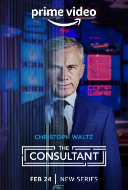 El consultor