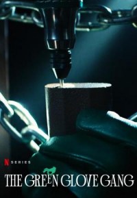 Serie La banda del guante verde