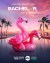 Bachelor in Paradise (Serie TV)