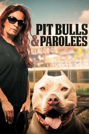 Pit Bulls and Parolees Pit Bulls and Parolees