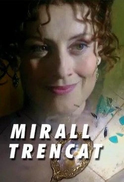 Mirall trencat