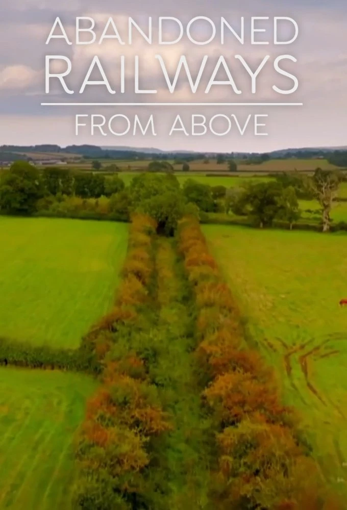 Poster  de Abandoned Railways from Above en inglés