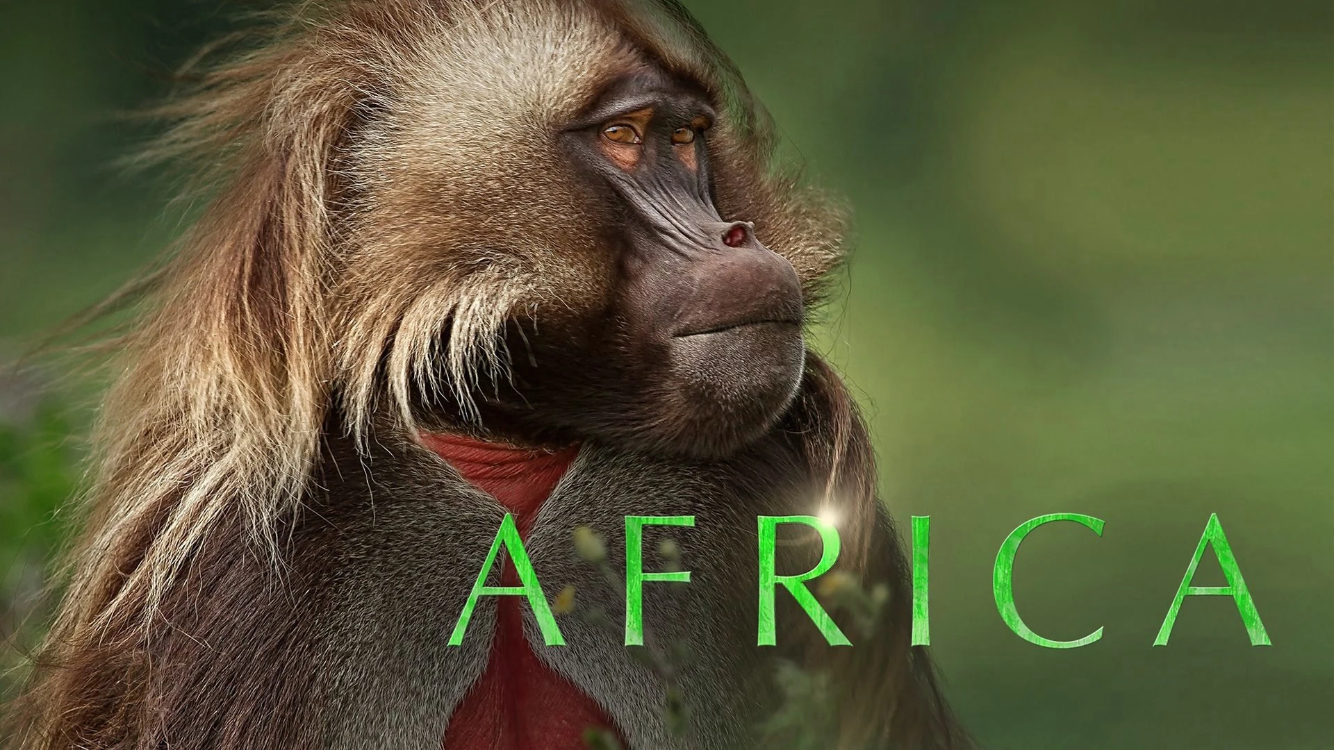 Foto de Africa