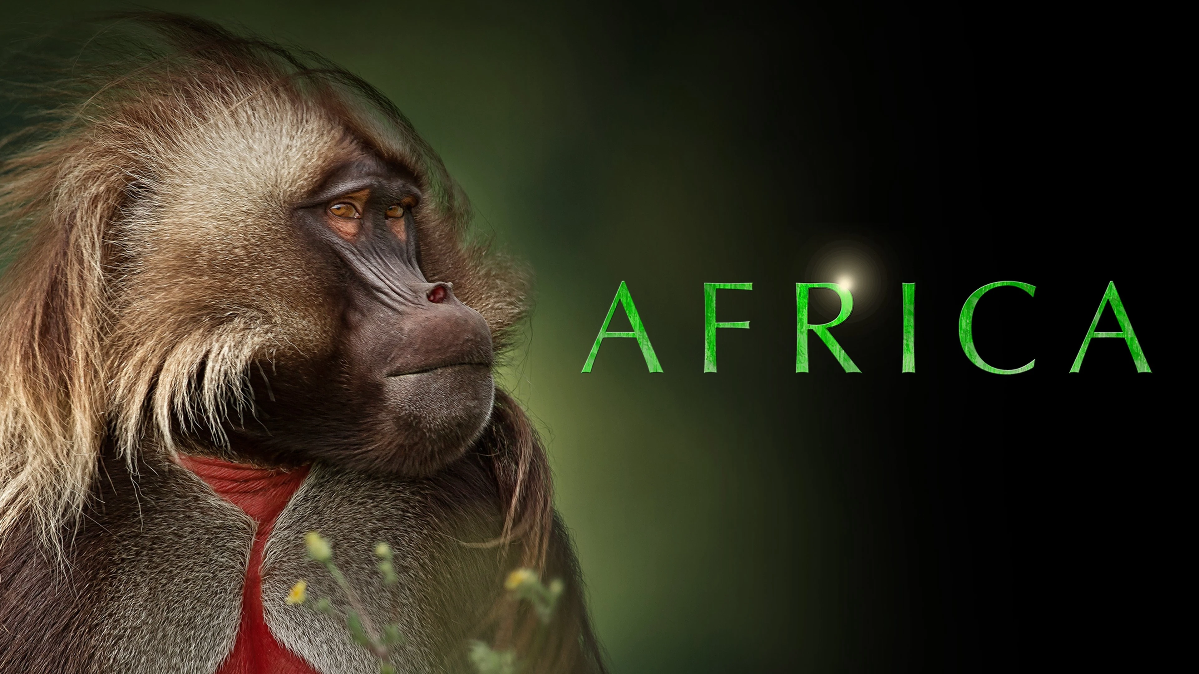 Foto de Africa