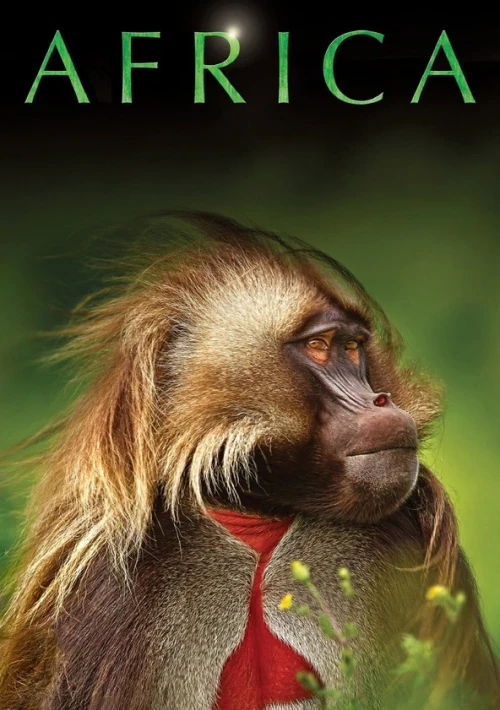 Poster  de la temporada 1 de Africa