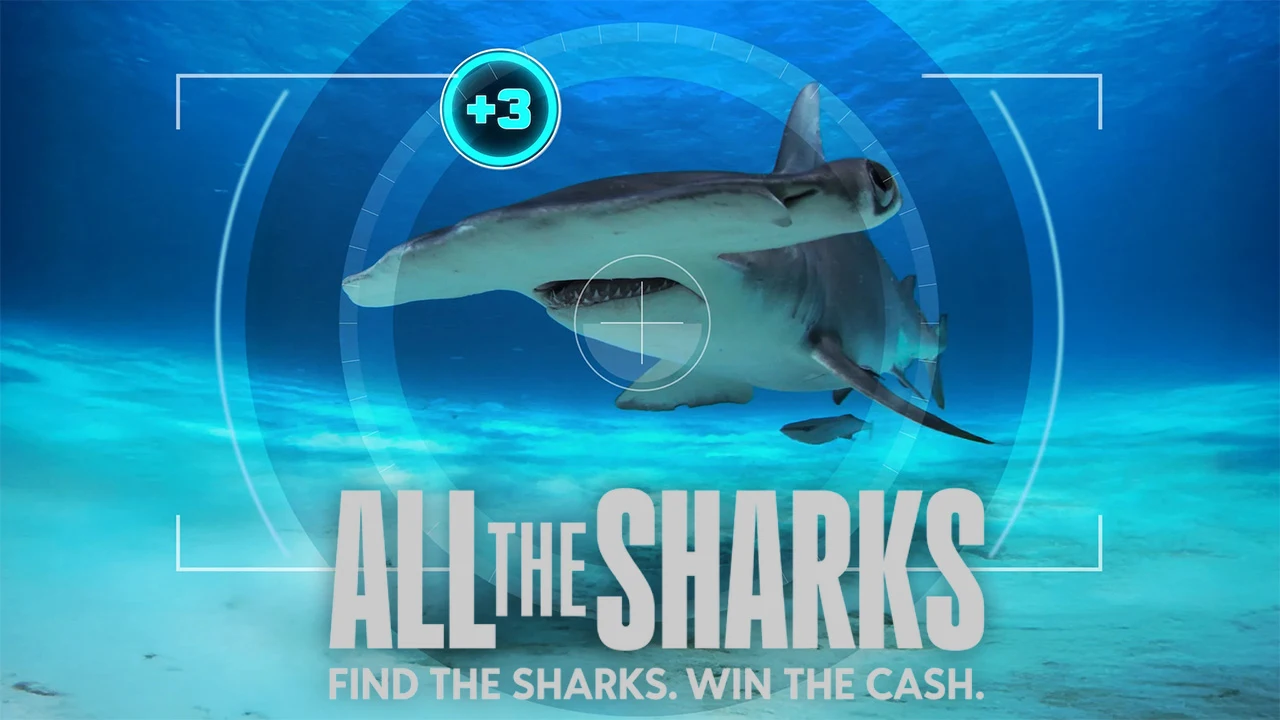 Foto de All the Sharks