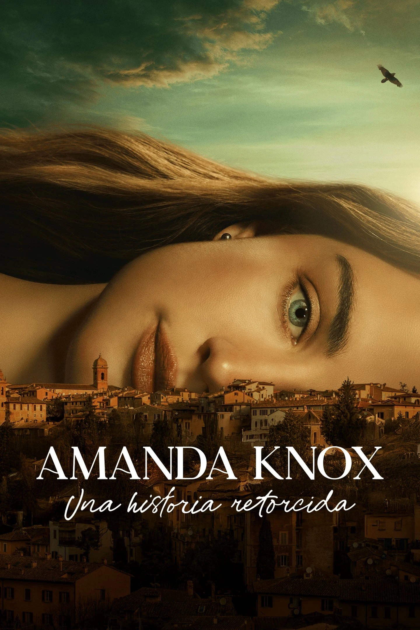 Poster  de The Twisted Tale of Amanda Knox en español