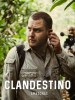 Amazonas clandestino