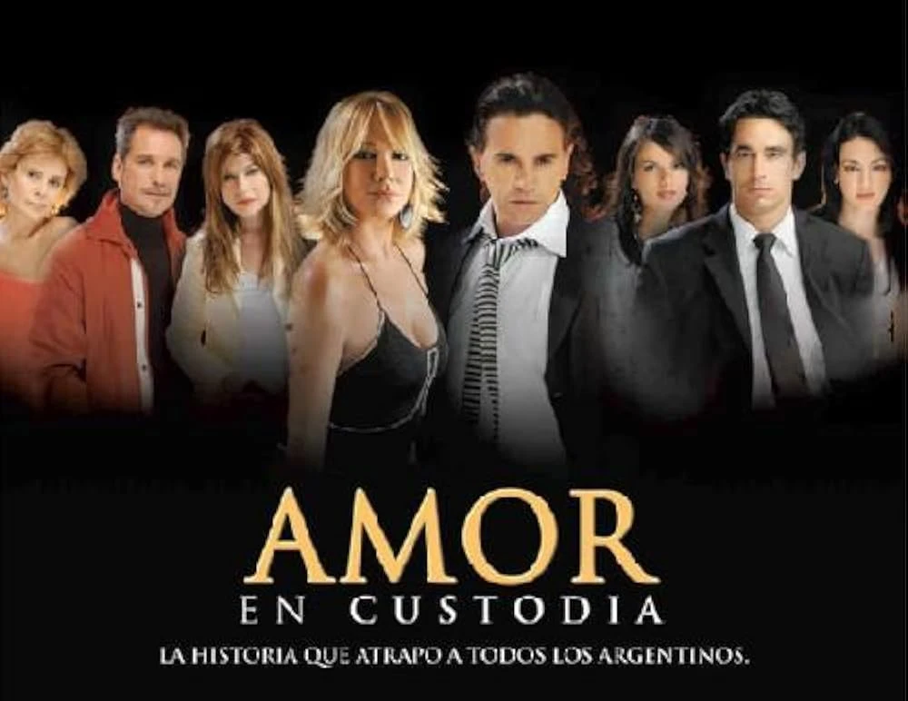 Poster  de Amor en custodia