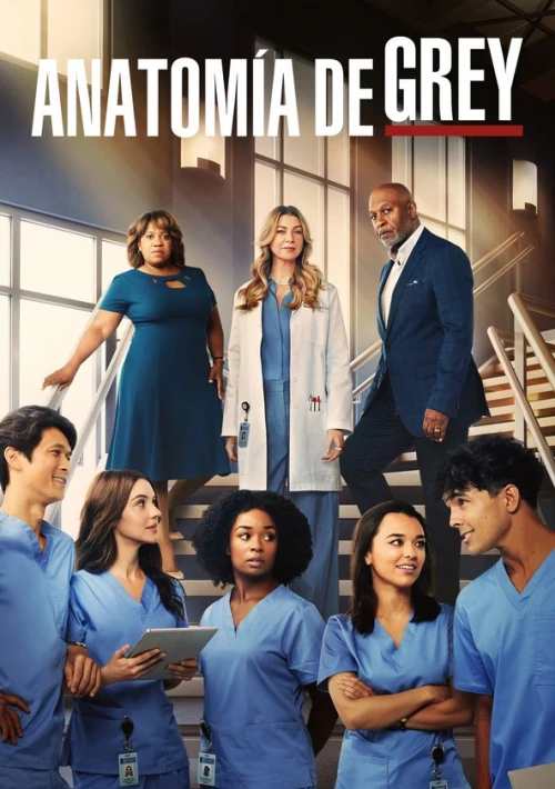 Poster  de la temporada 19 de Greys Anatomy