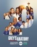 Greys Anatomy