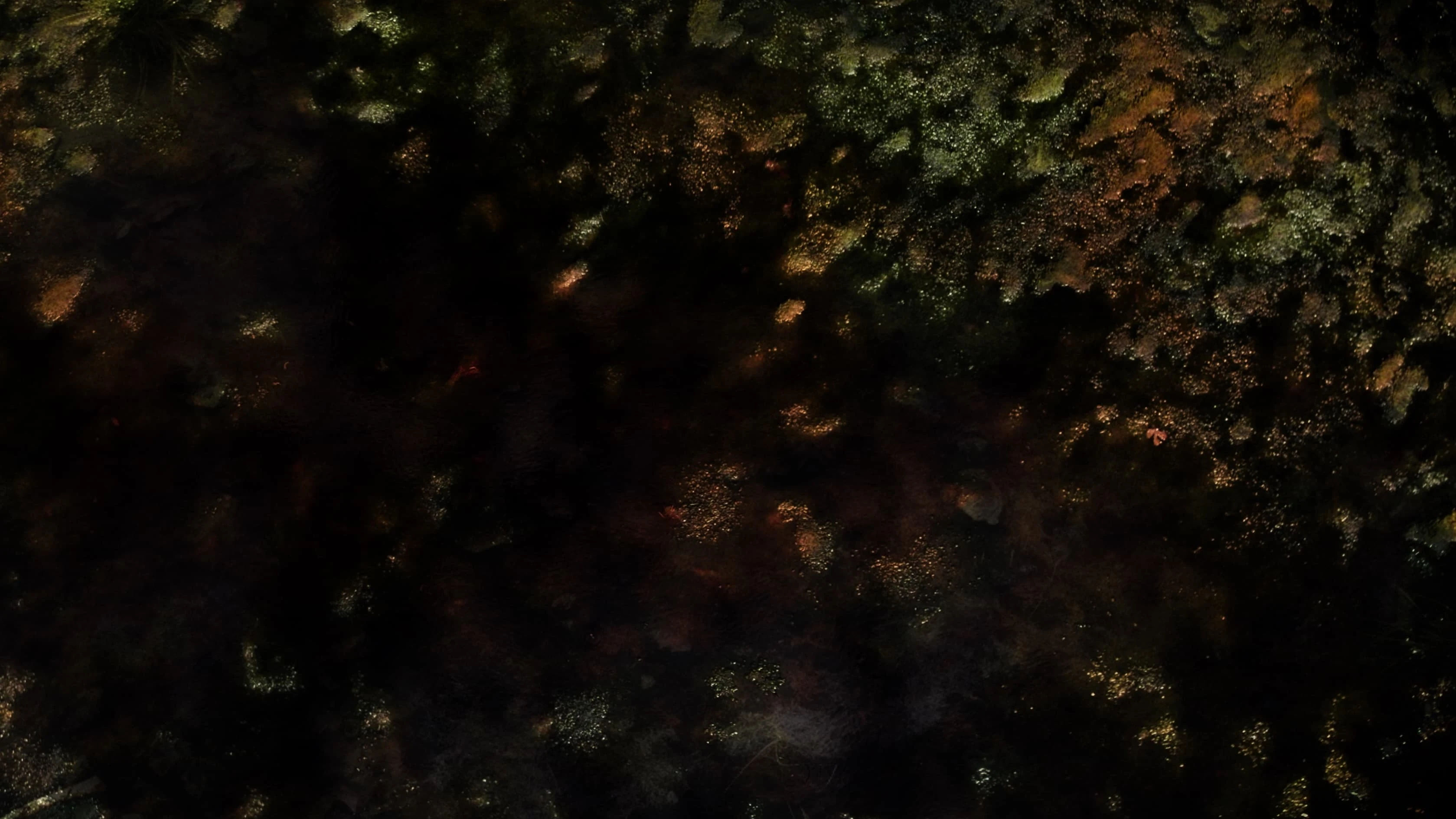 Foto de Ancient Bodies: Secrets Revealed