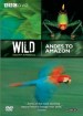 Wild South America: Andes to Amazon