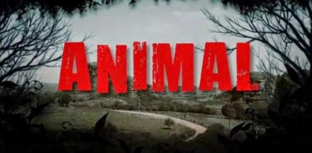 Poster  de Animal