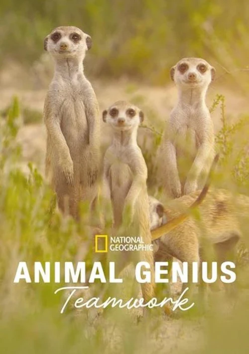 Poster  de la temporada 1 de Animal Genius
