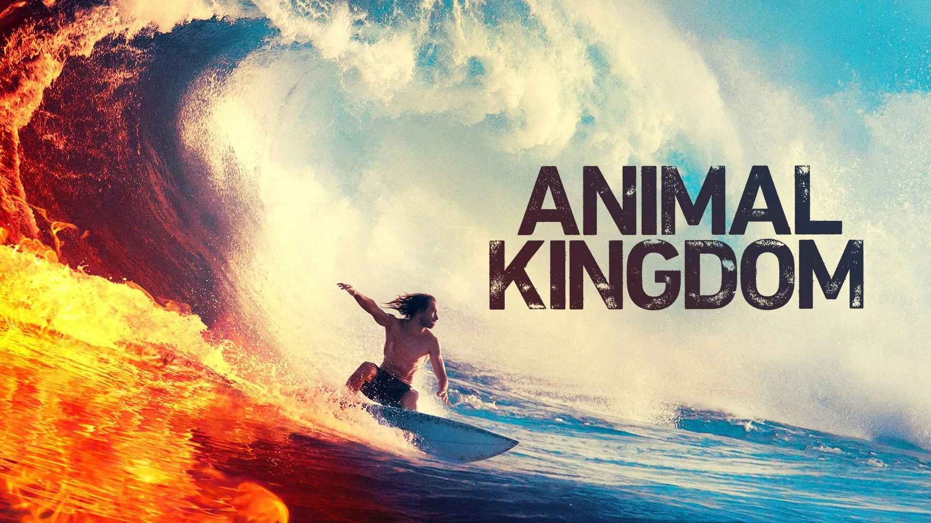 Foto de Animal Kingdom