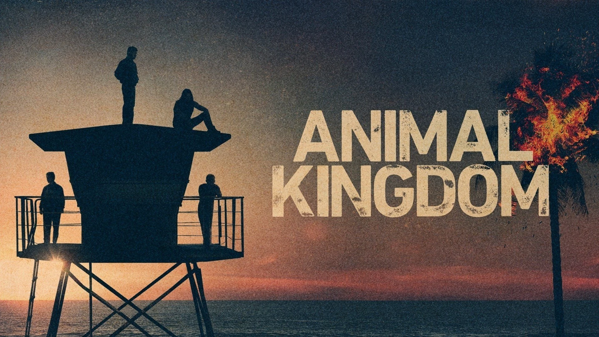 Foto de Animal Kingdom