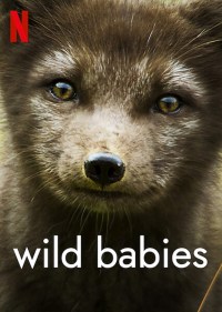 Animales bebés
