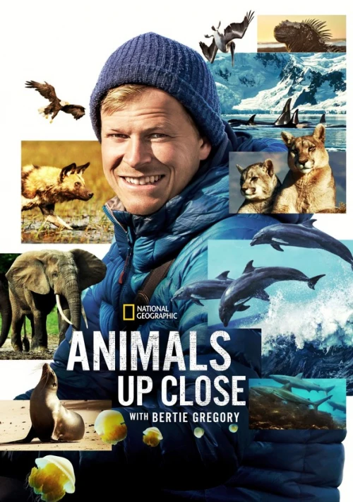 Poster  de la temporada 1 de Animales en primer plano con Bertie Gregory