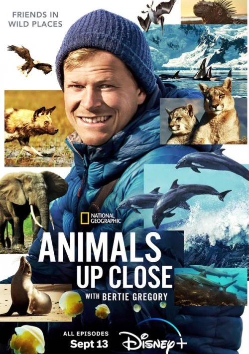 Poster  de la temporada 1 de Animales en primer plano con Bertie Gregory