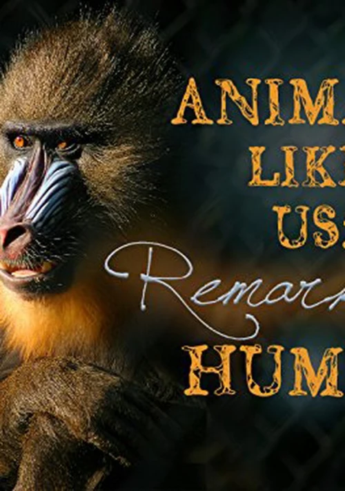 Poster  de la temporada 1 de Animals Like Us