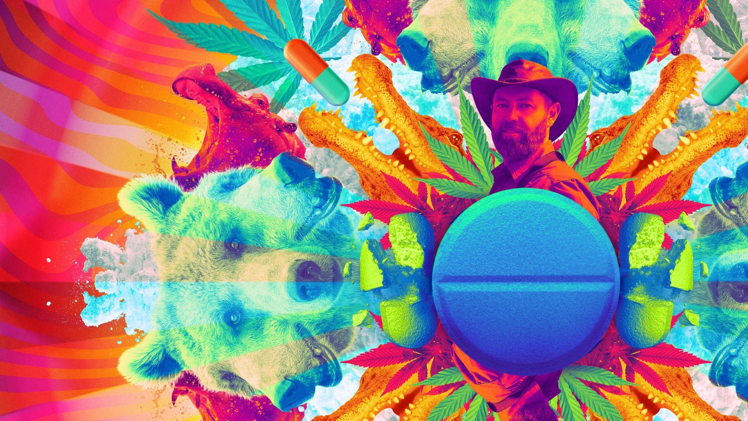 Foto de Animals on Drugs