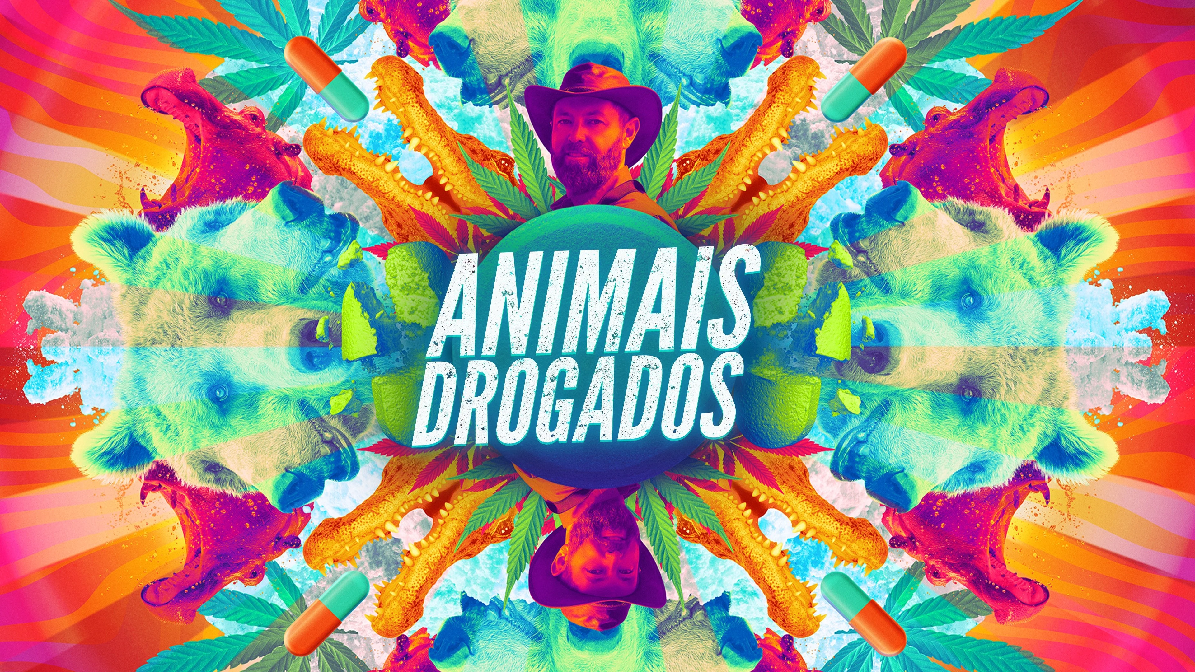 Foto de Animals on Drugs