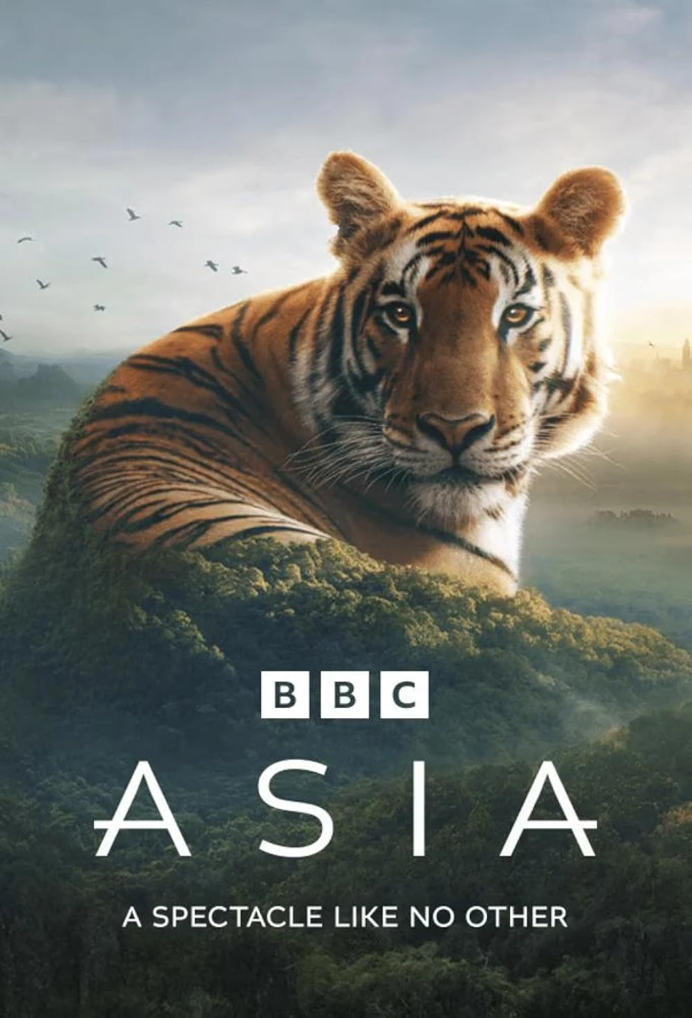 Poster  de Asia