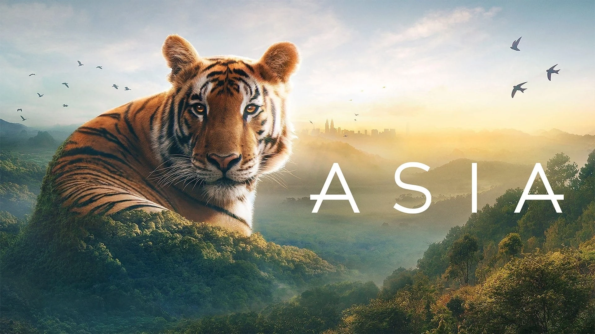 Foto de Asia