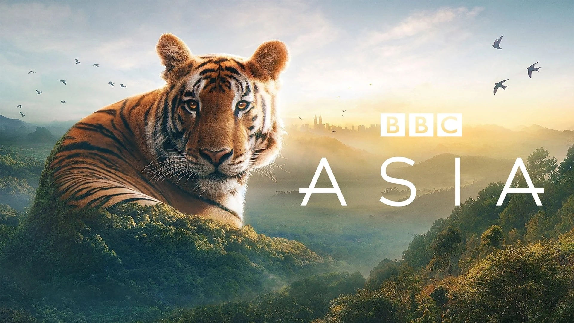 Foto de Asia
